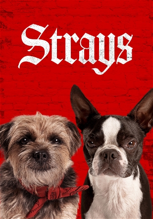 Strays