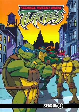 Adventures in Turtle Sitting